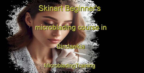 Skinart Beginner's microblading course in Bindaekia | MicrobladingTraining | MicrobladingClasses | SkinartTraining-India