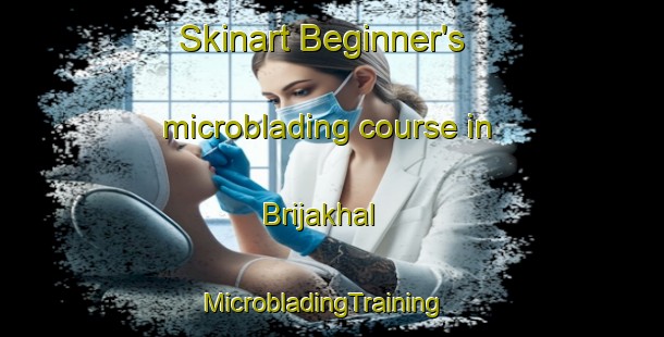 Skinart Beginner's microblading course in Brijakhal | MicrobladingTraining | MicrobladingClasses | SkinartTraining-India