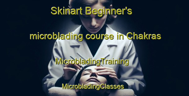 Skinart Beginner's microblading course in Chakras | MicrobladingTraining | MicrobladingClasses | SkinartTraining-India