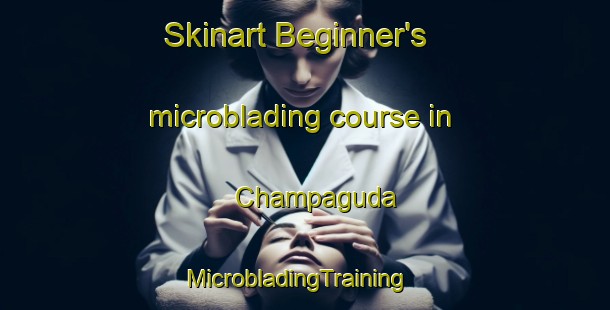 Skinart Beginner's microblading course in Champaguda | MicrobladingTraining | MicrobladingClasses | SkinartTraining-India