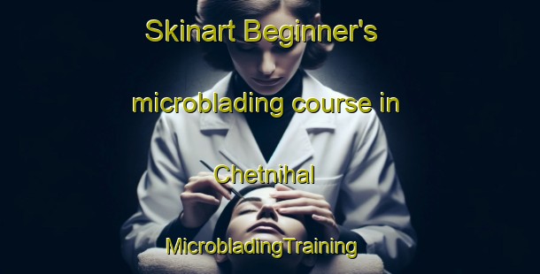 Skinart Beginner's microblading course in Chetnihal | MicrobladingTraining | MicrobladingClasses | SkinartTraining-India