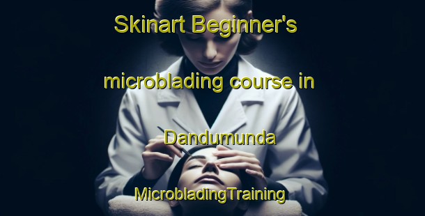 Skinart Beginner's microblading course in Dandumunda | #MicrobladingTraining #MicrobladingClasses #SkinartTraining-India