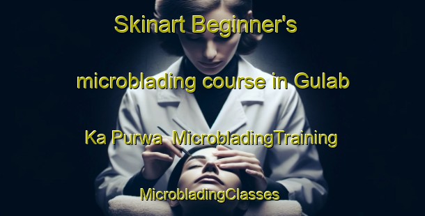 Skinart Beginner's microblading course in Gulab Ka Purwa | MicrobladingTraining | MicrobladingClasses | SkinartTraining-India