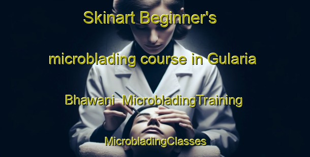 Skinart Beginner's microblading course in Gularia Bhawani | #MicrobladingTraining #MicrobladingClasses #SkinartTraining-India