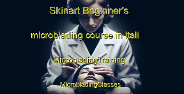 Skinart Beginner's microblading course in Itali | MicrobladingTraining | MicrobladingClasses | SkinartTraining-India
