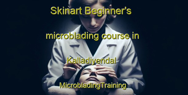 Skinart Beginner's microblading course in Kalladiyendal | #MicrobladingTraining #MicrobladingClasses #SkinartTraining-India