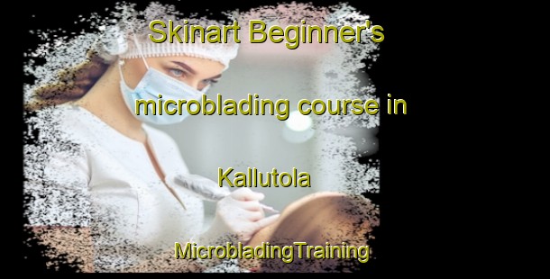 Skinart Beginner's microblading course in Kallutola | #MicrobladingTraining #MicrobladingClasses #SkinartTraining-India