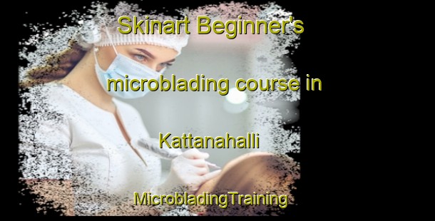Skinart Beginner's microblading course in Kattanahalli | MicrobladingTraining | MicrobladingClasses | SkinartTraining-India