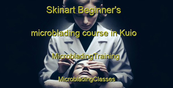 Skinart Beginner's microblading course in Kuio | #MicrobladingTraining #MicrobladingClasses #SkinartTraining-India