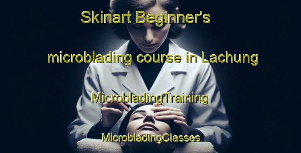 Skinart Beginner's microblading course in Lachung | #MicrobladingTraining #MicrobladingClasses #SkinartTraining-India