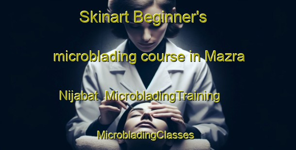 Skinart Beginner's microblading course in Mazra Nijabat | MicrobladingTraining | MicrobladingClasses | SkinartTraining-India