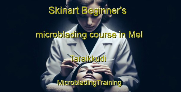 Skinart Beginner's microblading course in Mel Taraikkudi | #MicrobladingTraining #MicrobladingClasses #SkinartTraining-India