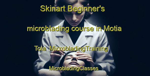 Skinart Beginner's microblading course in Motia Tola | MicrobladingTraining | MicrobladingClasses | SkinartTraining-India
