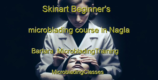 Skinart Beginner's microblading course in Nagla Bartara | MicrobladingTraining | MicrobladingClasses | SkinartTraining-India