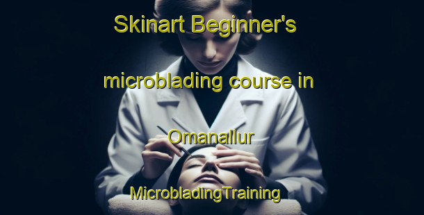Skinart Beginner's microblading course in Omanallur | MicrobladingTraining | MicrobladingClasses | SkinartTraining-India
