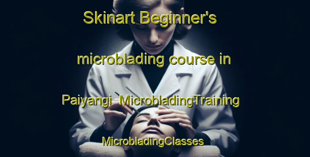 Skinart Beginner's microblading course in Paiyangi | MicrobladingTraining | MicrobladingClasses | SkinartTraining-India