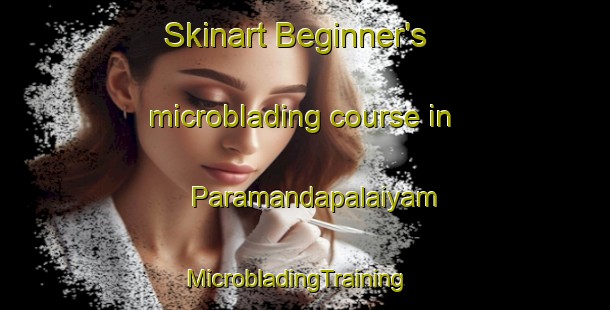 Skinart Beginner's microblading course in Paramandapalaiyam | MicrobladingTraining | MicrobladingClasses | SkinartTraining-India
