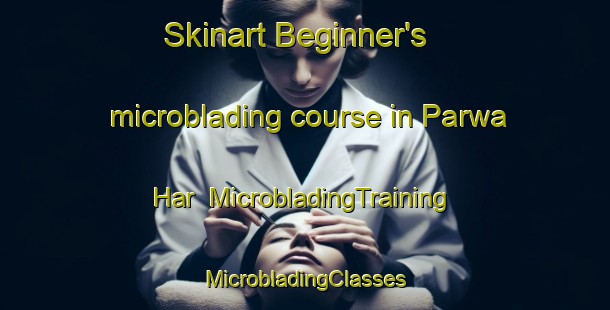 Skinart Beginner's microblading course in Parwa Har | #MicrobladingTraining #MicrobladingClasses #SkinartTraining-India