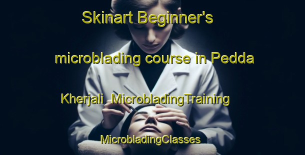 Skinart Beginner's microblading course in Pedda Kherjali | MicrobladingTraining | MicrobladingClasses | SkinartTraining-India