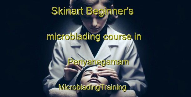 Skinart Beginner's microblading course in Periyanegamam | MicrobladingTraining | MicrobladingClasses | SkinartTraining-India