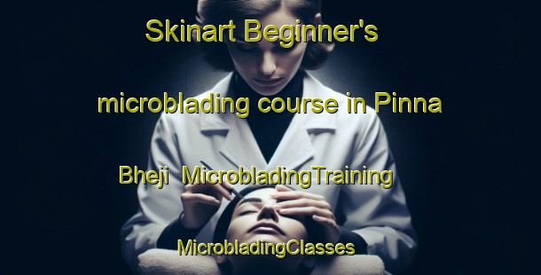 Skinart Beginner's microblading course in Pinna Bheji | MicrobladingTraining | MicrobladingClasses | SkinartTraining-India