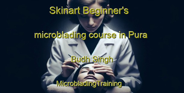 Skinart Beginner's microblading course in Pura Budh Singh | MicrobladingTraining | MicrobladingClasses | SkinartTraining-India