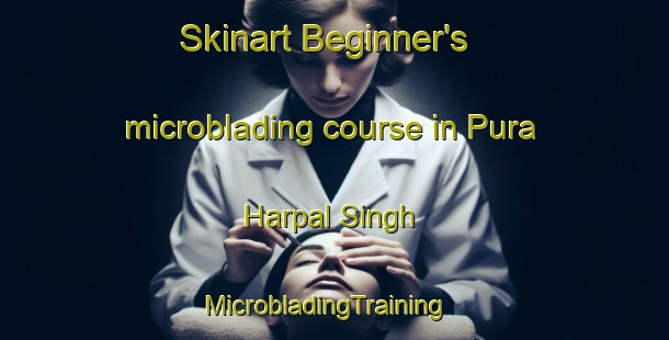Skinart Beginner's microblading course in Pura Harpal Singh | MicrobladingTraining | MicrobladingClasses | SkinartTraining-India