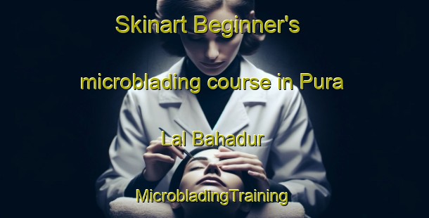 Skinart Beginner's microblading course in Pura Lal Bahadur | #MicrobladingTraining #MicrobladingClasses #SkinartTraining-India