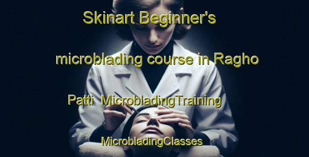 Skinart Beginner's microblading course in Ragho Patti | MicrobladingTraining | MicrobladingClasses | SkinartTraining-India