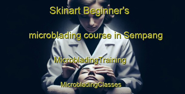 Skinart Beginner's microblading course in Sempang | MicrobladingTraining | MicrobladingClasses | SkinartTraining-India