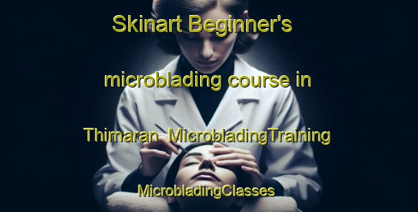Skinart Beginner's microblading course in Thimaran | MicrobladingTraining | MicrobladingClasses | SkinartTraining-India