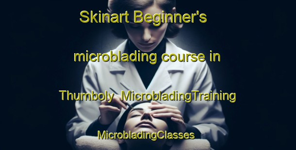 Skinart Beginner's microblading course in Thumboly | MicrobladingTraining | MicrobladingClasses | SkinartTraining-India
