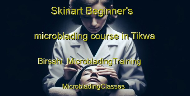 Skinart Beginner's microblading course in Tikwa Birsahi | MicrobladingTraining | MicrobladingClasses | SkinartTraining-India
