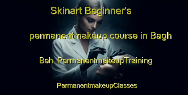 Skinart Beginner's permanentmakeup course in Bagh Beh | PermanentmakeupTraining | PermanentmakeupClasses | SkinartTraining-India