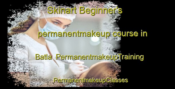 Skinart Beginner's permanentmakeup course in Batla | PermanentmakeupTraining | PermanentmakeupClasses | SkinartTraining-India