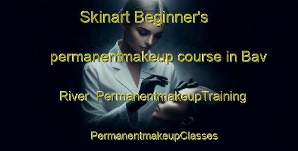 Skinart Beginner's permanentmakeup course in Bav River | PermanentmakeupTraining | PermanentmakeupClasses | SkinartTraining-India