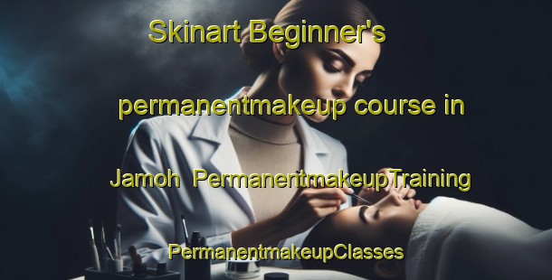 Skinart Beginner's permanentmakeup course in Jamoh | PermanentmakeupTraining | PermanentmakeupClasses | SkinartTraining-India