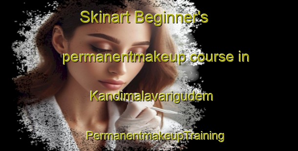 Skinart Beginner's permanentmakeup course in Kandimalavarigudem | #PermanentmakeupTraining #PermanentmakeupClasses #SkinartTraining-India