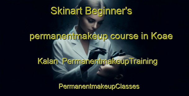 Skinart Beginner's permanentmakeup course in Koae Kalan | #PermanentmakeupTraining #PermanentmakeupClasses #SkinartTraining-India