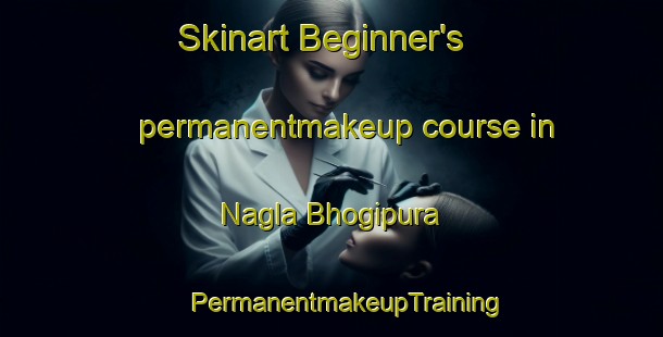 Skinart Beginner's permanentmakeup course in Nagla Bhogipura | #PermanentmakeupTraining #PermanentmakeupClasses #SkinartTraining-India