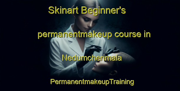 Skinart Beginner's permanentmakeup course in Nedumcherimala | PermanentmakeupTraining | PermanentmakeupClasses | SkinartTraining-India