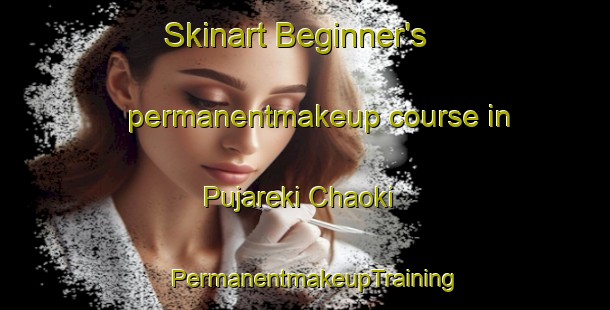 Skinart Beginner's permanentmakeup course in Pujareki Chaoki | PermanentmakeupTraining | PermanentmakeupClasses | SkinartTraining-India