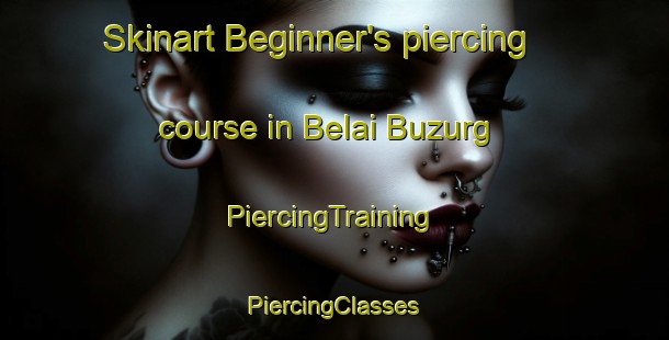 Skinart Beginner's piercing course in Belai Buzurg | #PiercingTraining #PiercingClasses #SkinartTraining-India