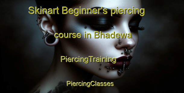 Skinart Beginner's piercing course in Bhadewa | PiercingTraining | PiercingClasses | SkinartTraining-India