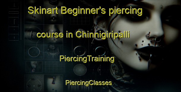 Skinart Beginner's piercing course in Chinnigiripalli | PiercingTraining | PiercingClasses | SkinartTraining-India