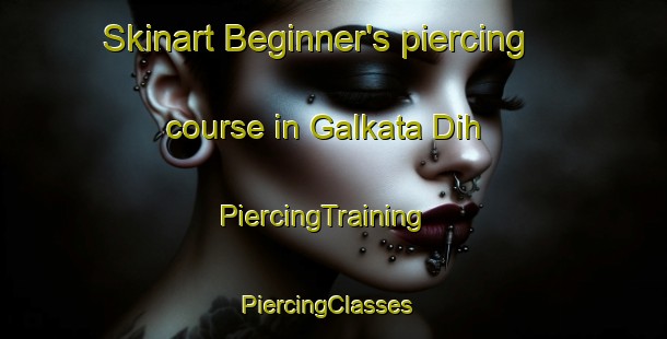 Skinart Beginner's piercing course in Galkata Dih | PiercingTraining | PiercingClasses | SkinartTraining-India