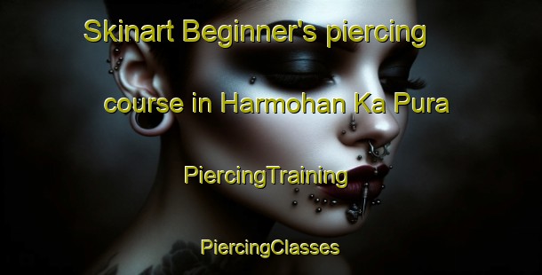 Skinart Beginner's piercing course in Harmohan Ka Pura | #PiercingTraining #PiercingClasses #SkinartTraining-India