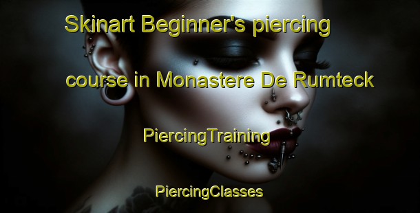 Skinart Beginner's piercing course in Monastere De Rumteck | #PiercingTraining #PiercingClasses #SkinartTraining-India