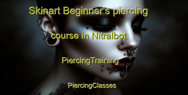 Skinart Beginner's piercing course in Nitralbot | PiercingTraining | PiercingClasses | SkinartTraining-India