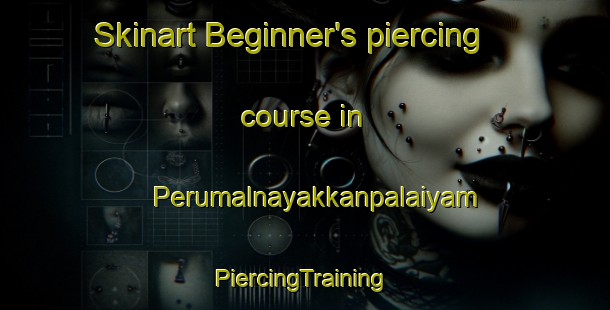 Skinart Beginner's piercing course in Perumalnayakkanpalaiyam | #PiercingTraining #PiercingClasses #SkinartTraining-India